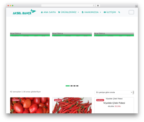 WordPress theme BootScore - akselbahce.com.tr