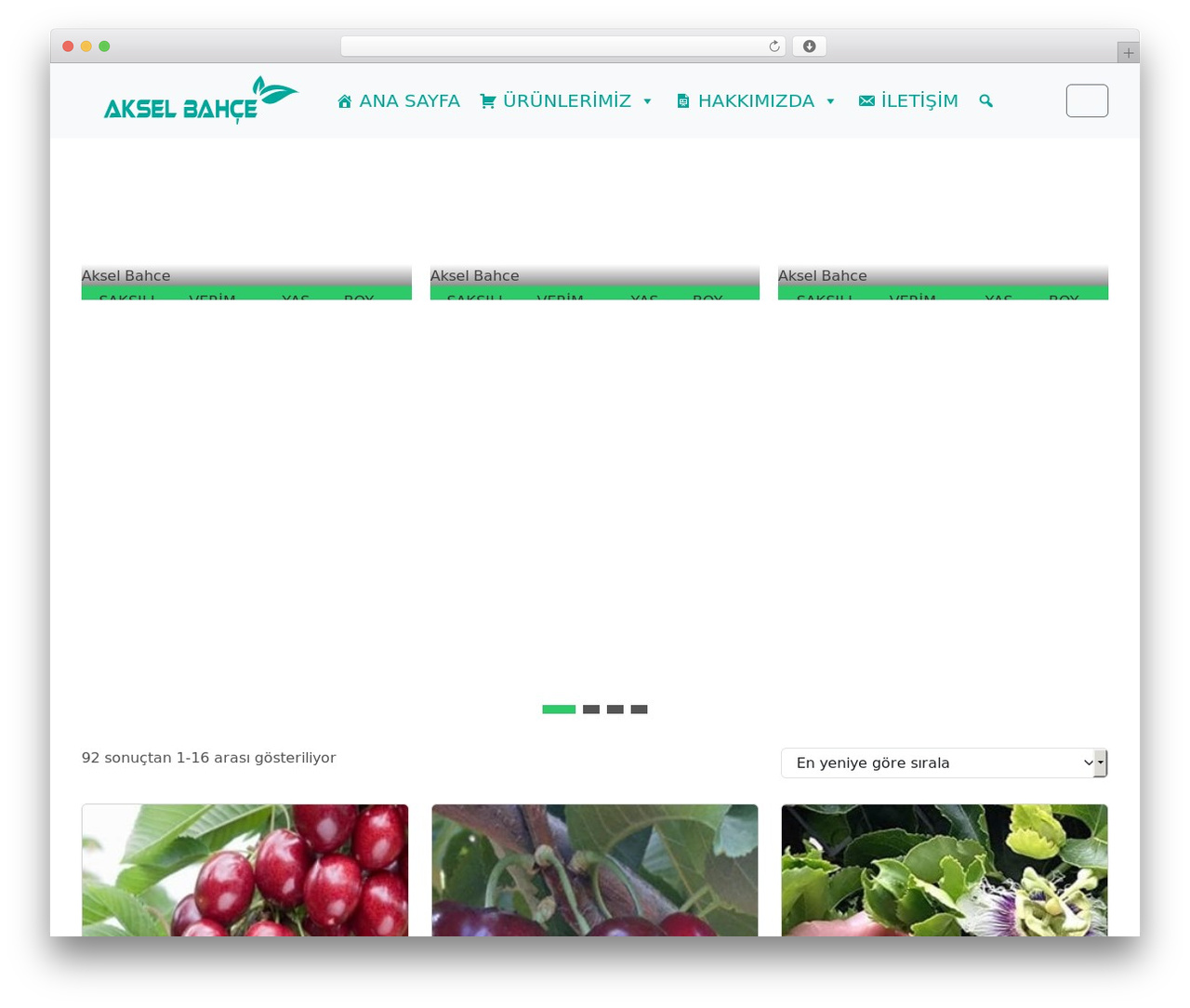 WordPress theme Bootscore - akselbahce.com.tr