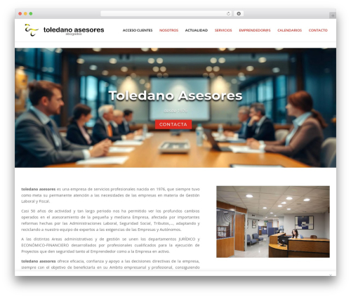Divi WordPress theme - toledanoasesores.es