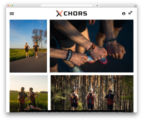 Blue Media (platnosci-online-blue-media) free WordPress plugin - chorsteam.com