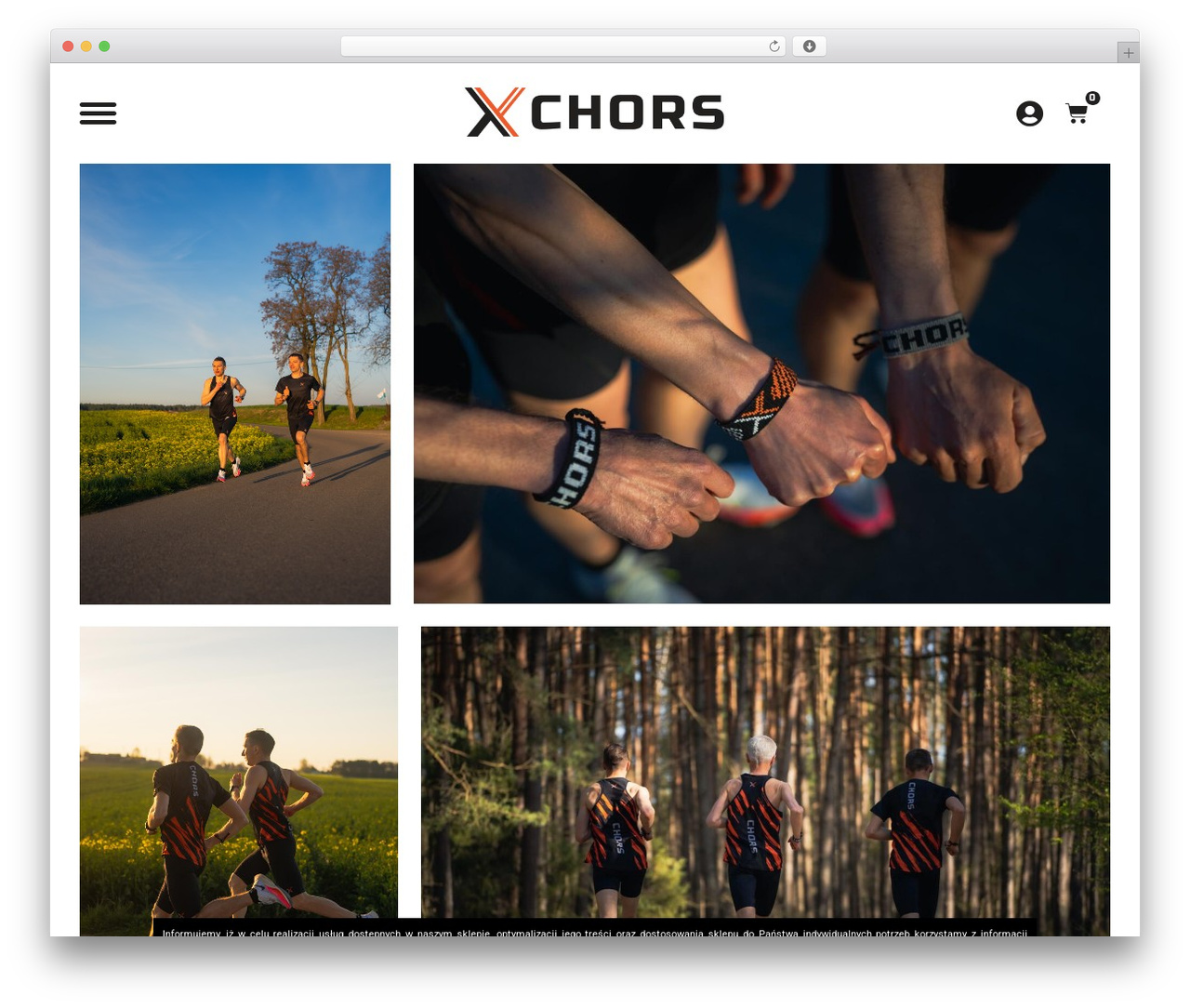 Hello Elementor WordPress theme - chorsteam.com