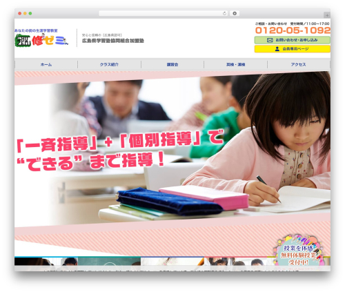 WP theme my-theme - shuzemi.com