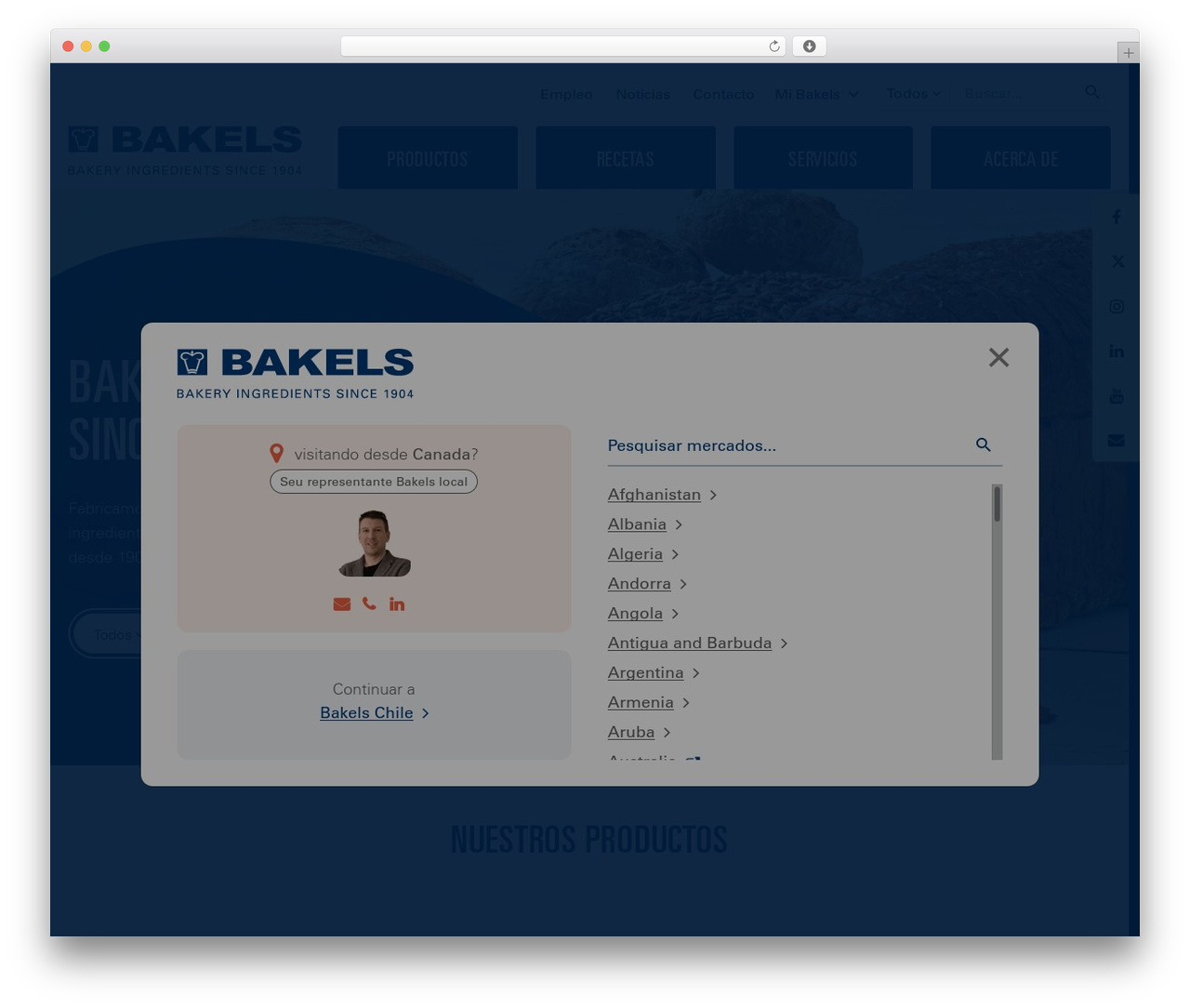 Theme WordPress Bakels Local - bakelschile.cl Theme WordPress Bakels Local - bakelschile.cl