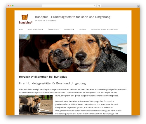Tiny Framework best free WordPress theme - hundplus.de Tiny Framework best free WordPress theme - hundplus.de