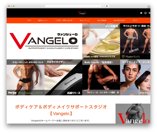 Envo Extra (envo-extra) free WordPress plugin - vangelo-beautysalon.com