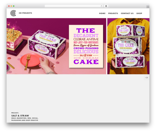 CO WordPress theme - co-projects.net