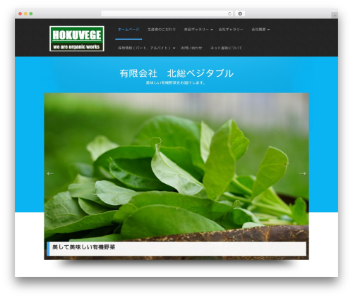 Simplicity Lite WP theme - hokuvege01.com Simplicity Lite WP theme - hokuvege01.com