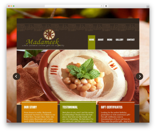 Follow Us Badges (wpsite-follow-us-badges) free WordPress plugin - madameek.ca Follow Us Badges (wpsite-follow-us-badges) free WordPress plugin - madameek.ca