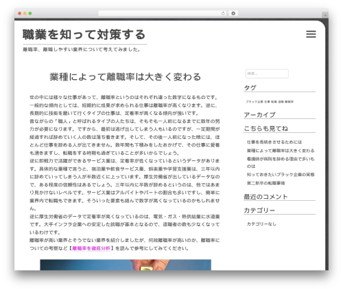 WordPress theme Flask - workbank.biz
