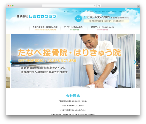Custom article WordPress plugin - siawase-team.com