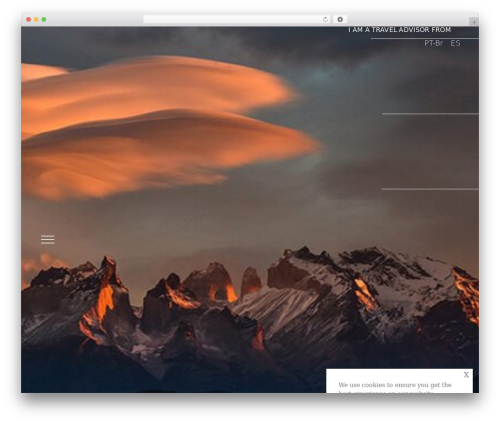 Inavii social feed for elementor pro WordPress plugin - tl.world