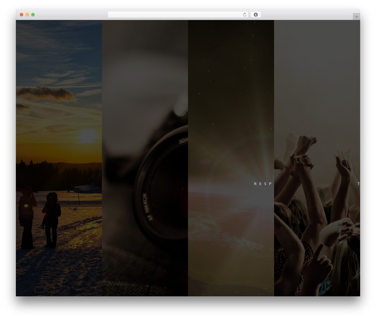 WordPress website theme H-Code - dinodesign.cz