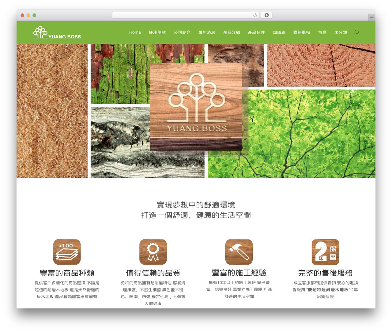 Divi theme WordPress - yuangboss.com