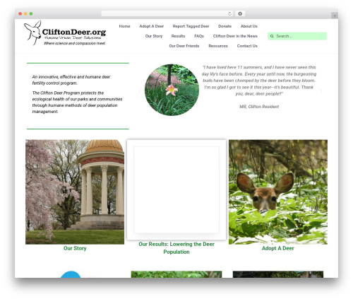 Wp change email sender WordPress plugin - cliftondeer.org