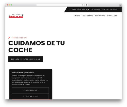 macchina WordPress page theme - tallerescobalsa.com