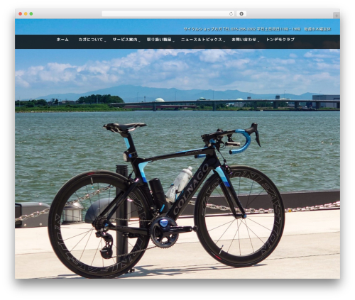 majestic_plus WordPress theme design - cskaga.jp