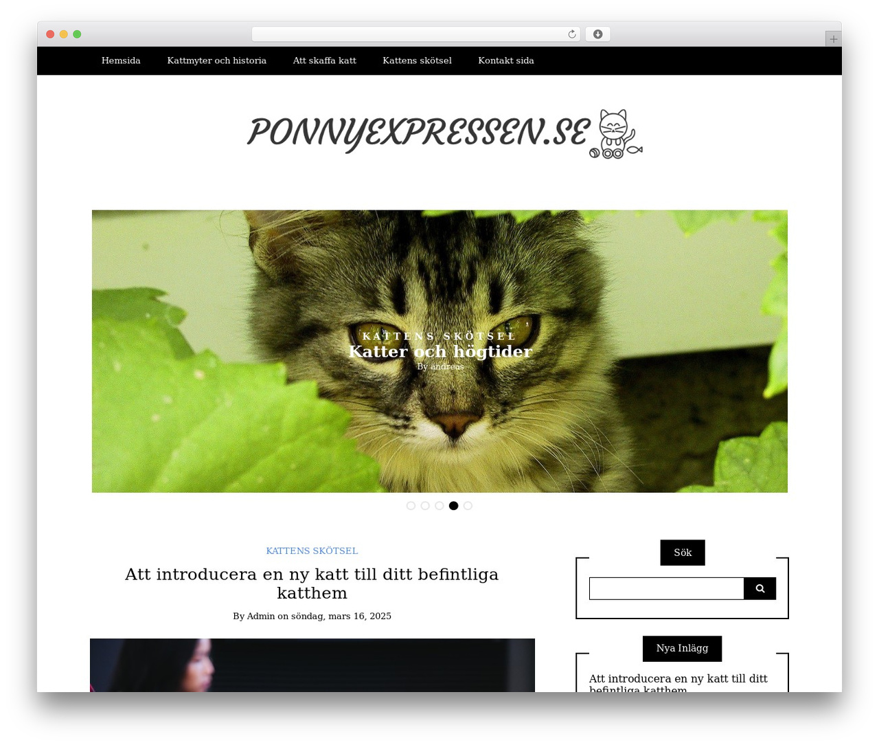 Writee free WordPress theme - ponnyexpressen.se Writee free WordPress theme - ponnyexpressen.se