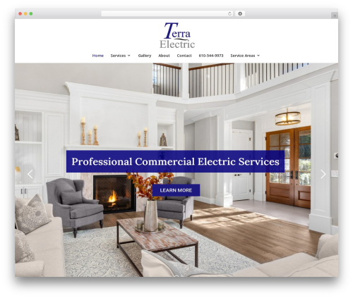 Divi WordPress theme - terraelectric.net