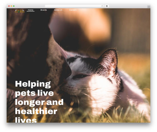 Smooth scrolling with lenis WordPress plugin - pets-global.com