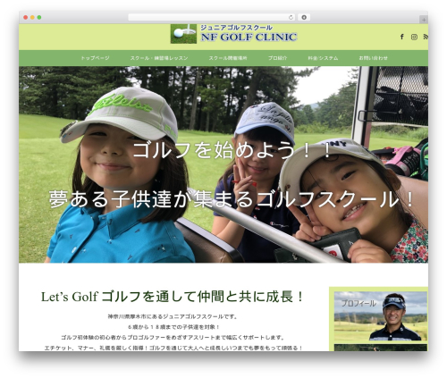 MAXX WordPress theme - nf-junior.com