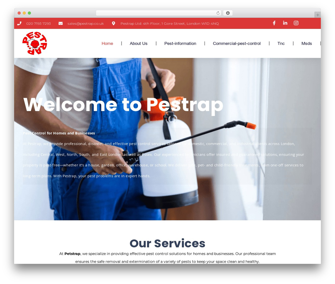 Hello Elementor top WordPress theme - pestrap.co.uk Hello Elementor top WordPress theme - pestrap.co.uk