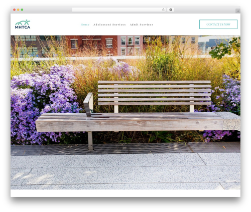 Mwt addons for elementor WordPress plugin - mhtca.com