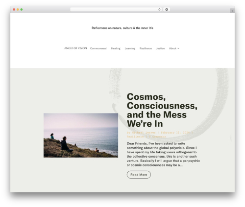 WordPress theme Divi - angleofvision.org
