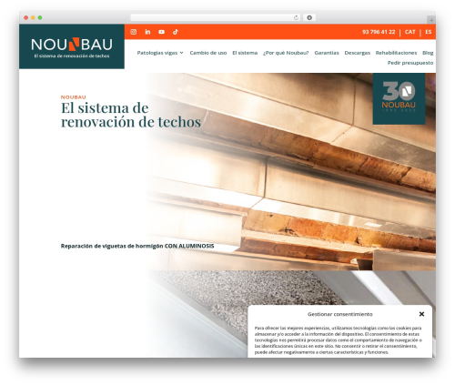 Divi dynamic helper WordPress plugin - noubau.com