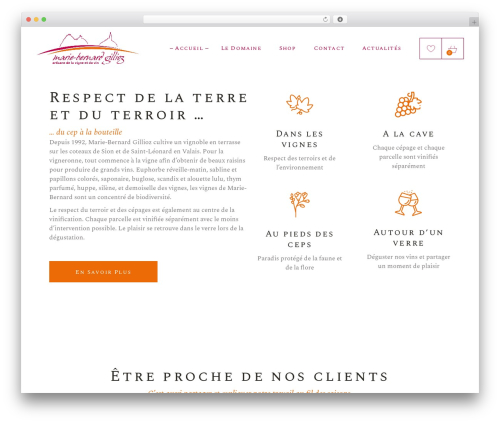 Aperitif core WordPress plugin - mbgillioz.ch