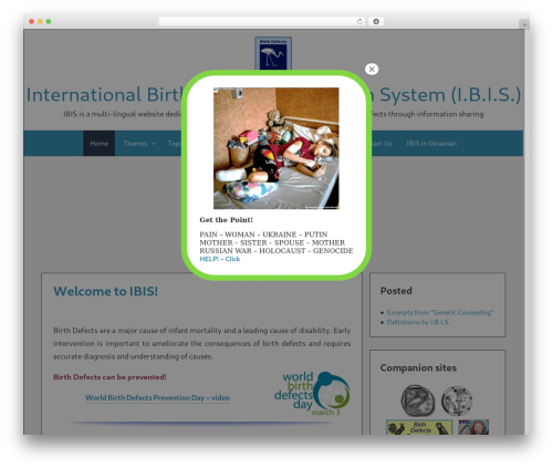 Aeroblog WordPress blog theme - ibis-birthdefects.org