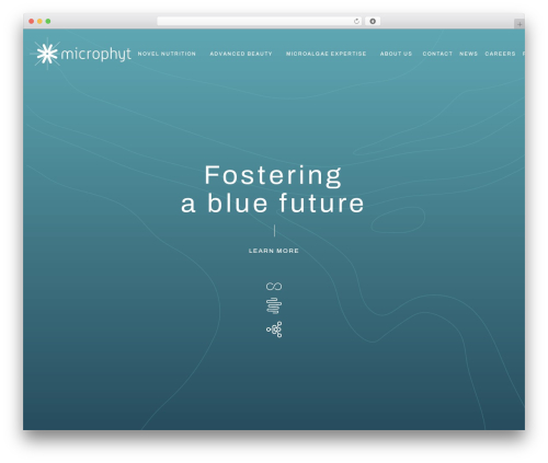 Bathe WordPress theme - microphyt.eu