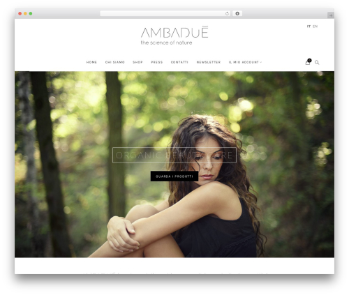 Popups premium WordPress plugin - ambadue.com