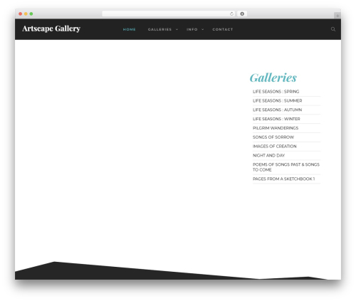 Responsive lightbox photoswipe WordPress plugin - artscape-gallery.com