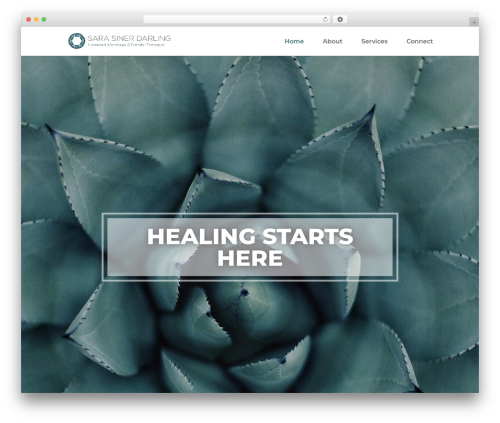 Theme WordPress Divi - sarasiner.com