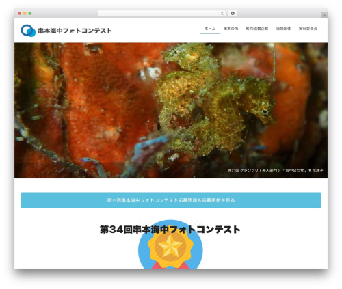 Single Post Widget (single-post-widget) free WordPress plugin - kushi-photocon.jp