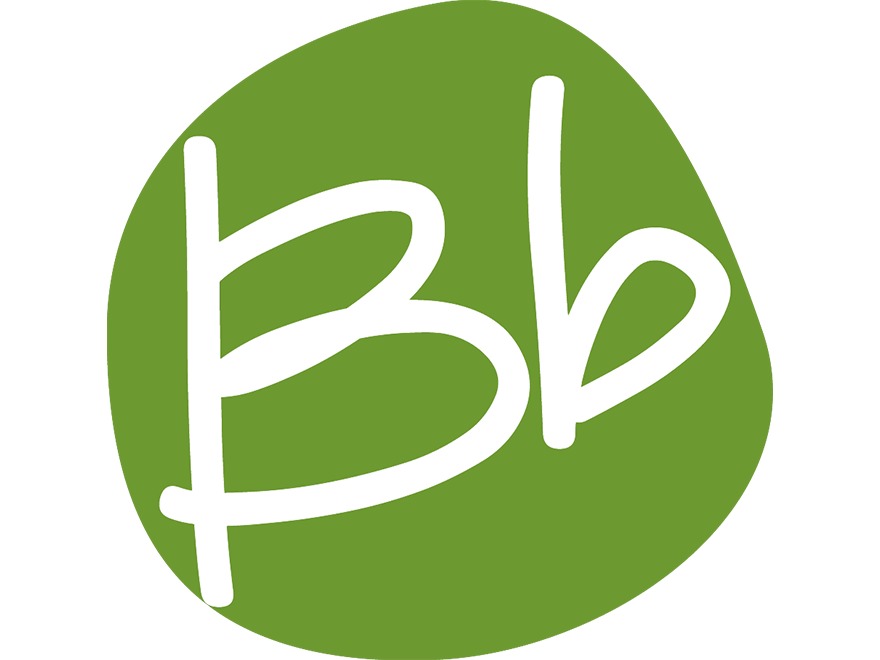bbtheme theme WordPress