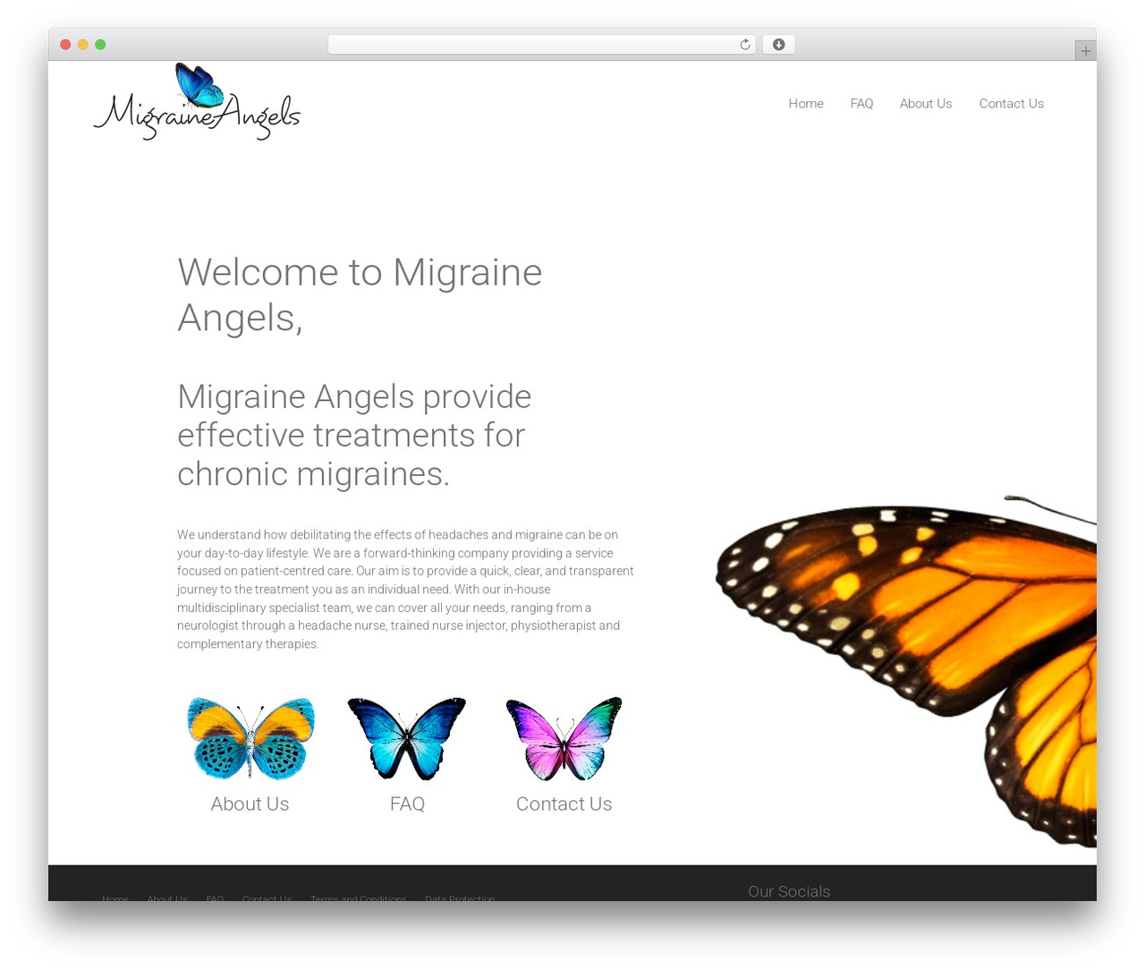 DMS WordPress theme - migraineangels.com