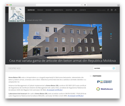 Fizz WordPress theme - armobeton.md