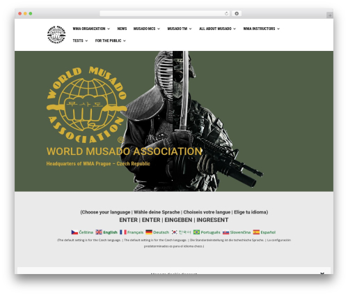 Theme WordPress Divi - musadocz.cz