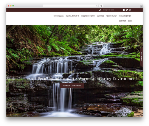 Proaddons master WordPress plugin - drbissell.com
