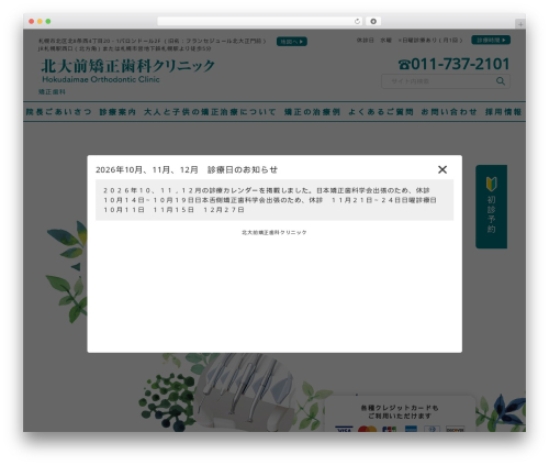 Business calendar WordPress plugin - hokudaimae.com