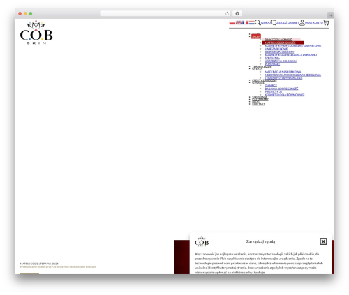 WordPress theme Bricks - cob-skin.pl