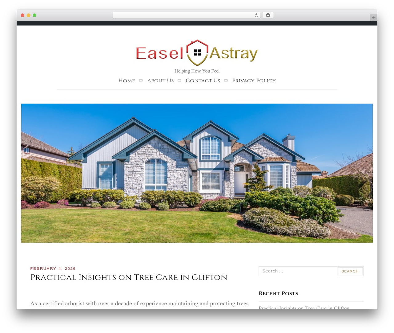 WordPress theme Equable Lite - easelastray.us