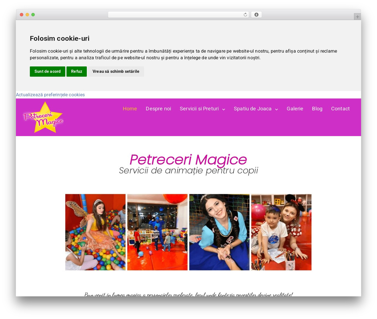 Theme WordPress Visual Composer Starter - petrecerimagice.ro Theme WordPress Visual Composer Starter - petrecerimagice.ro