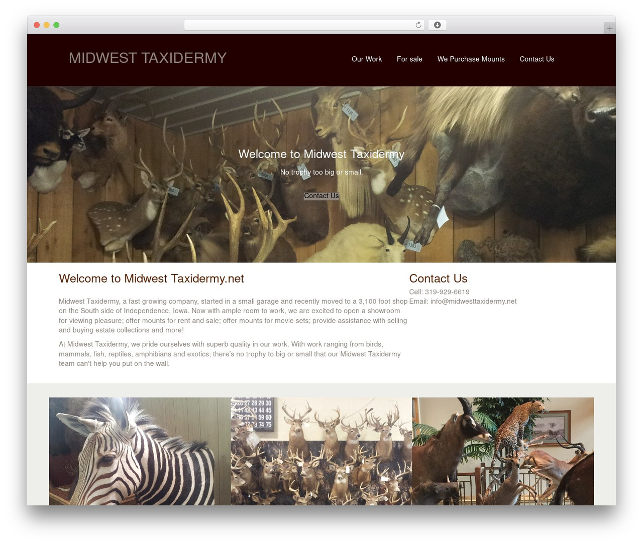 WordPress theme Beaver Builder Theme - midwesttaxidermy.net WordPress theme Beaver Builder Theme - midwesttaxidermy.net