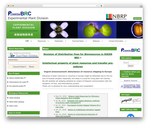 raindrops WP theme - epd.brc.riken.jp