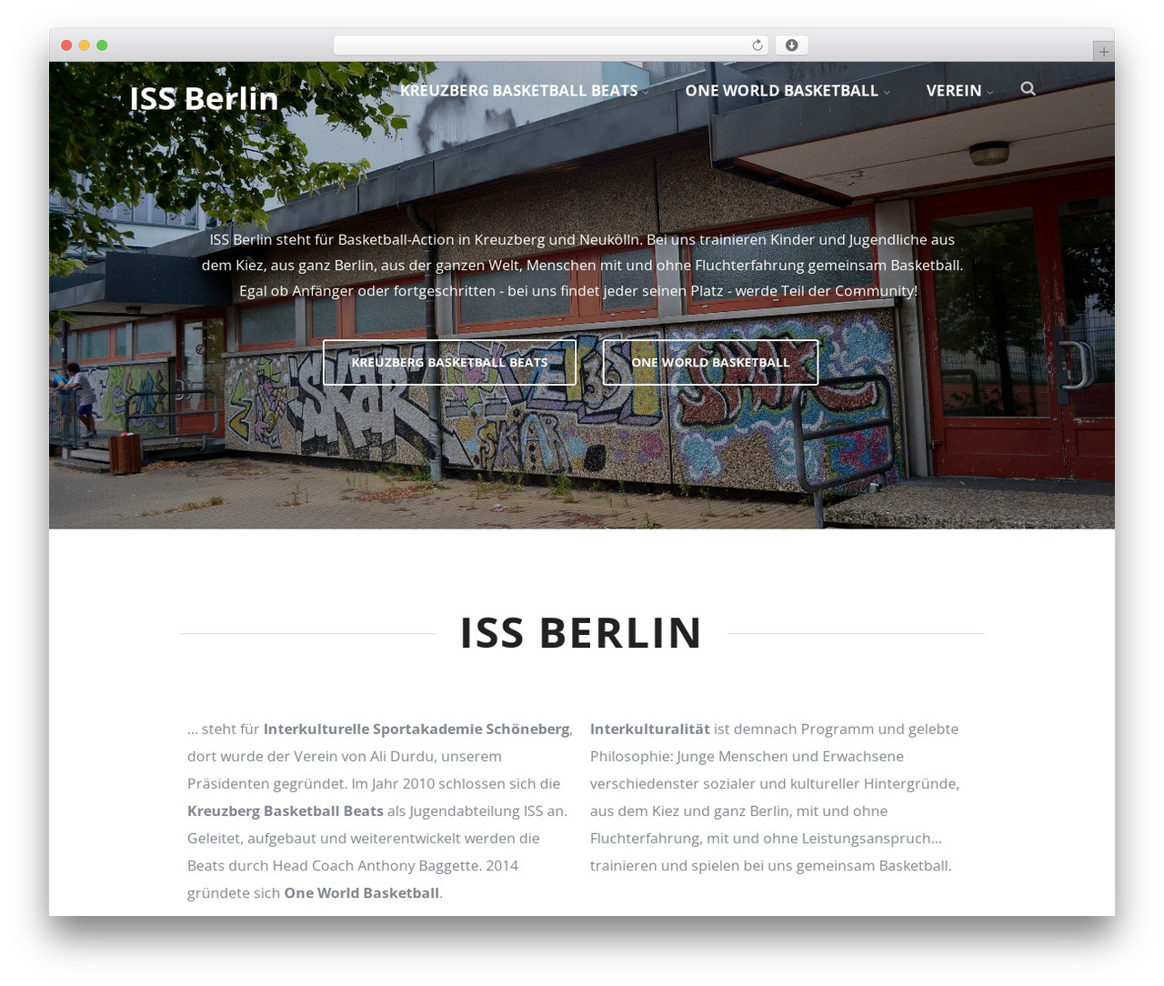 WordPress theme Optimizer PRO - iss-berlin.org