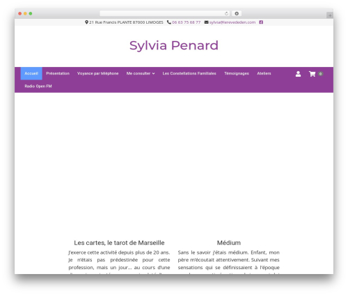 WordPress theme 6temflex - lerevededen.com