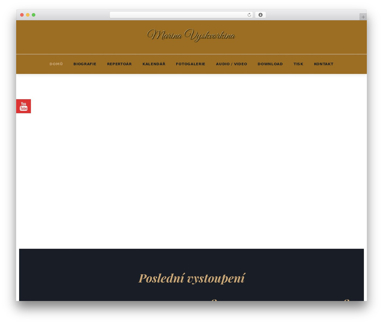 WordPress theme Monstroid2 - vyskvorkina.com
