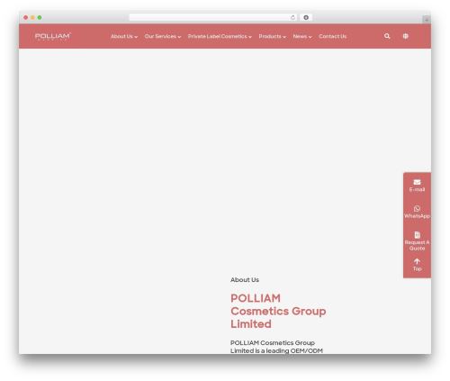 Font awesome local WordPress plugin - www.polliam.com